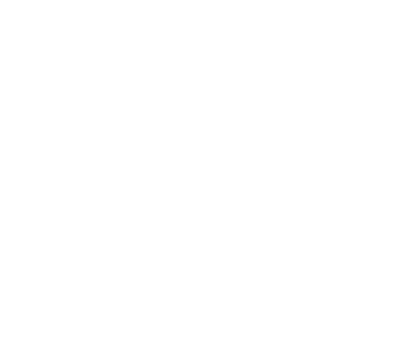 Szymon Ćwikliński Luna 2 20 x 30 cm 2024